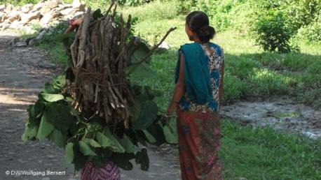 The weed poses a severe threat not just to the wildlife and ecosystem but also to tourism and the people's livelihood